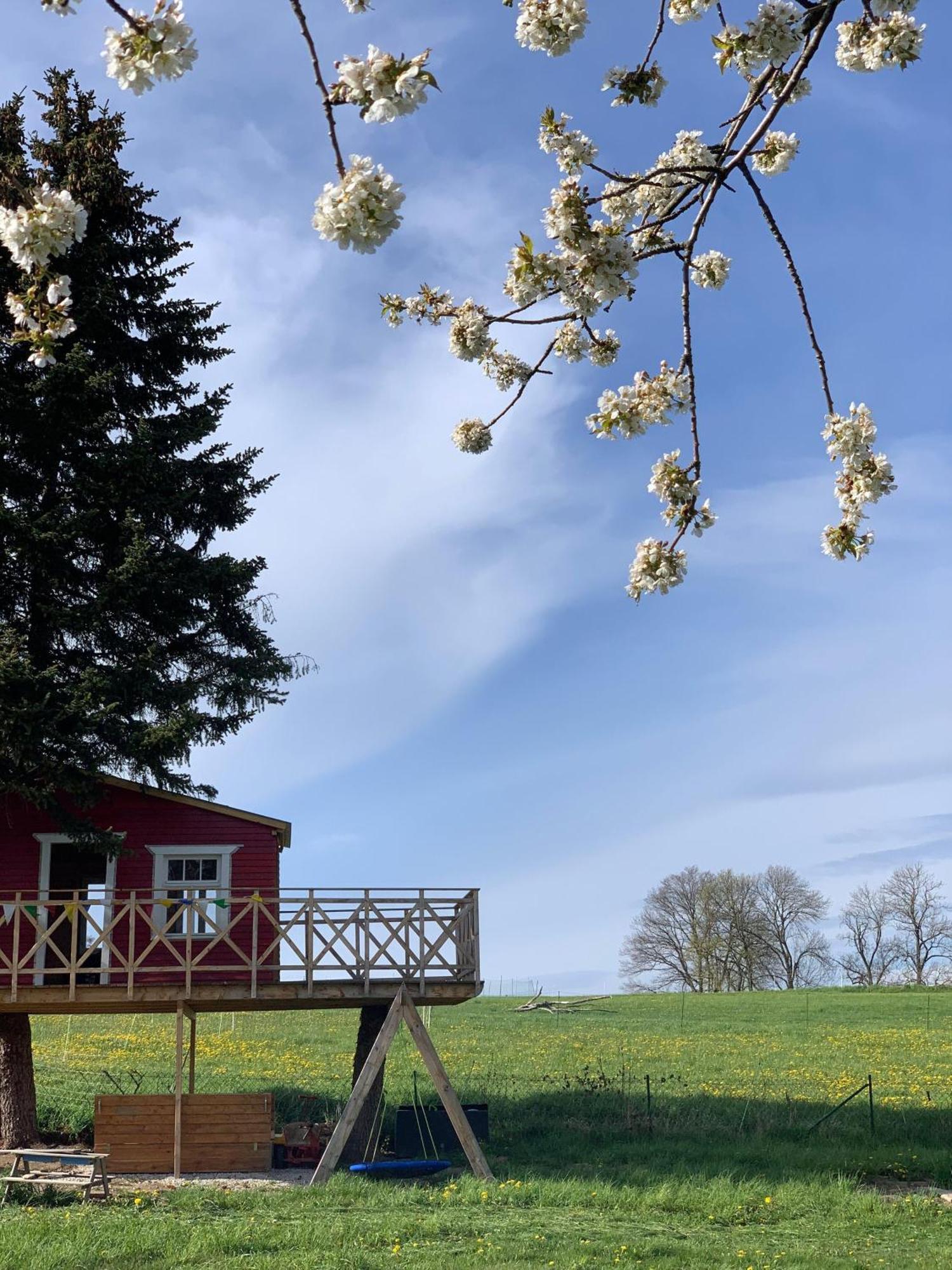 Ferienwohnung-Familienidylle-Im-Vogtland-80Qm Neumark  Exteriör bild